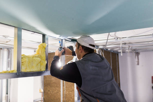 Best Insulation Installation Services in Carrizo Springs, TX