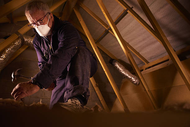 Best Insulation for Specific Applications in Carrizo Springs, TX